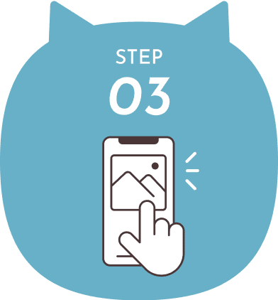 STEP 3: 撮影した写真を投稿する